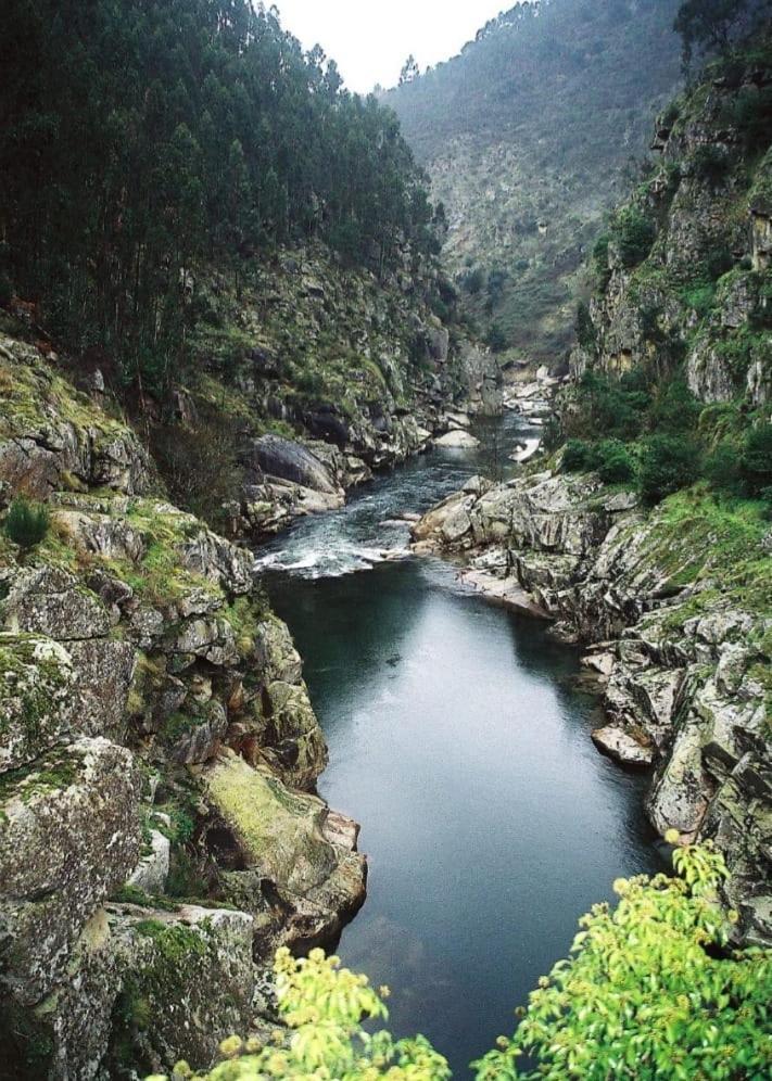 קסטלו דה פייבה Crasto Payva Douro Nature מראה חיצוני תמונה
